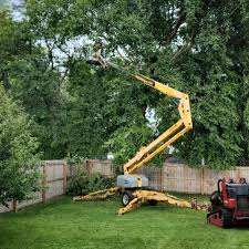 Trusted Petersburg, IL Tree Services Experts